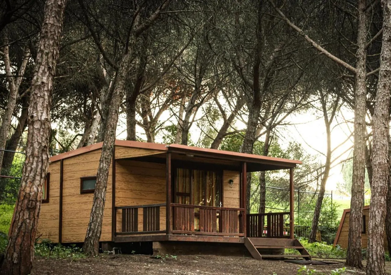 אתר קמפינג Lisboa Bungalows
